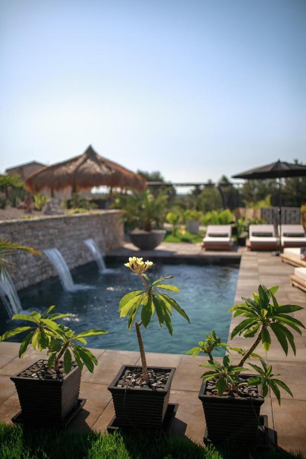Villa Merapi Sveti Lovreč Pazenatički 外观 照片