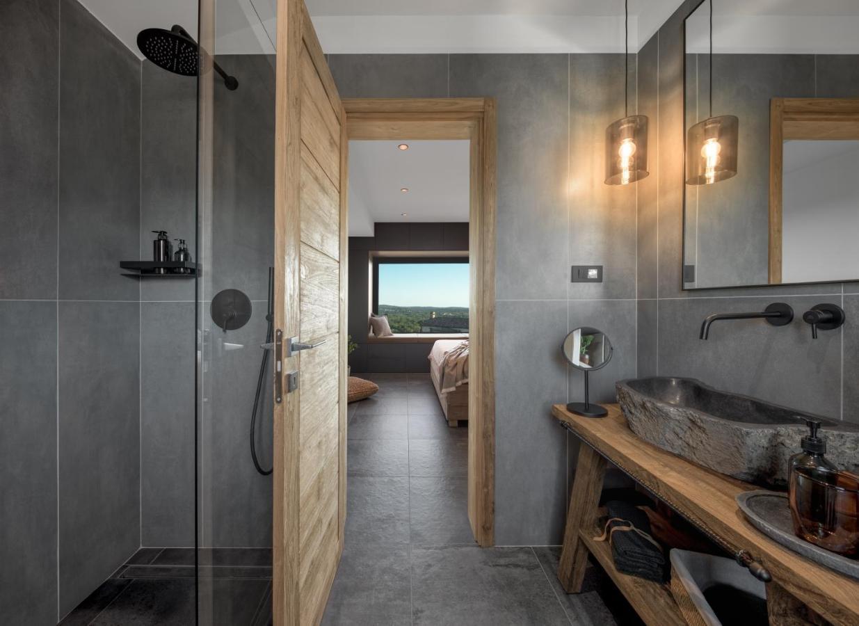 Villa Merapi Sveti Lovreč Pazenatički 外观 照片